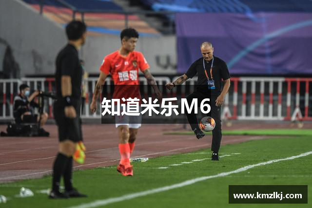 知道米乐M6